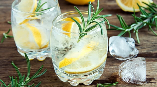 Six of the best gin cocktails | ICAEW Economia